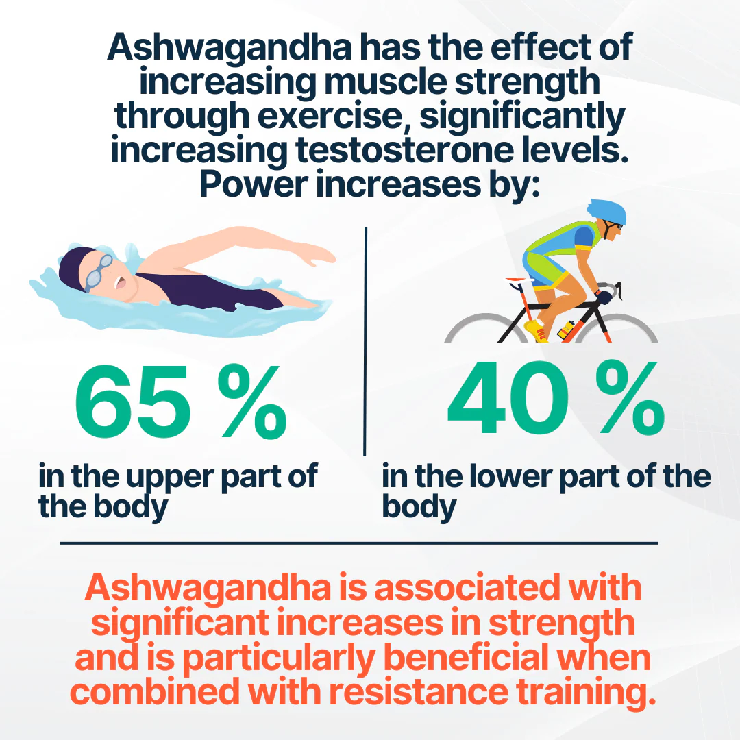 Ashwagandha - Image 6