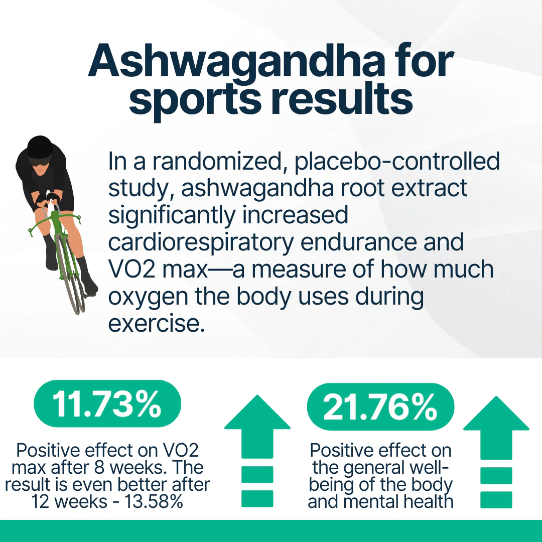Ashwagandha - Image 7